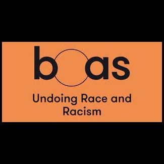 boasblogs: undoing race and racism